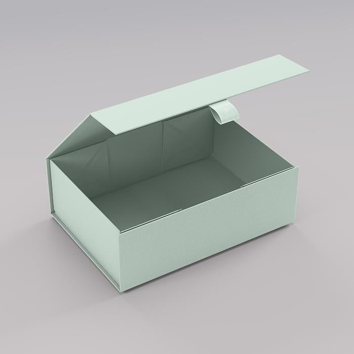 Semikolon 4Rooms Box, XSmall, Moss