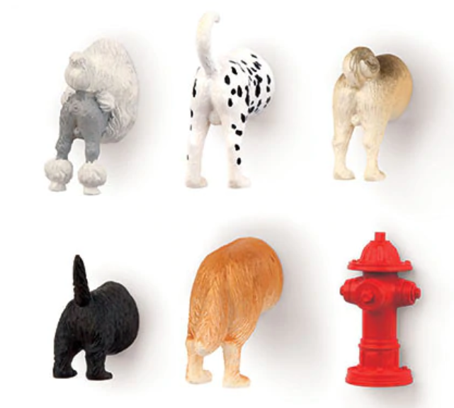 Kikkerland Köpek Magnet