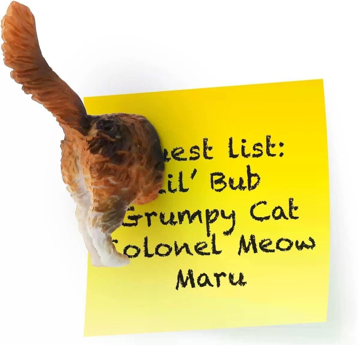 Kikkerland Funny Cat Butt Kedi Poposu Magnet Seti