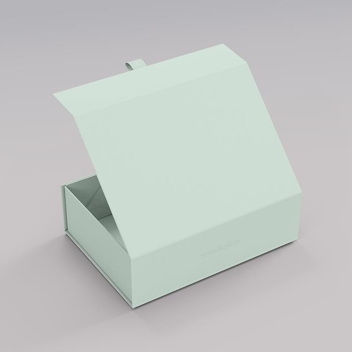Semikolon 4Rooms Box, Small, Moss