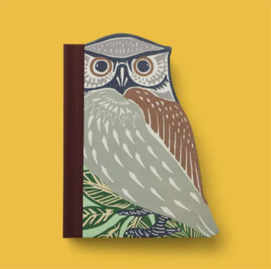 IF Eclectionery Notable Books Owl Notluk 38612
