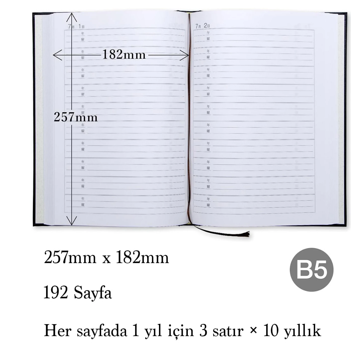 Apica B5 10 yıllık Günlük Siyah D305