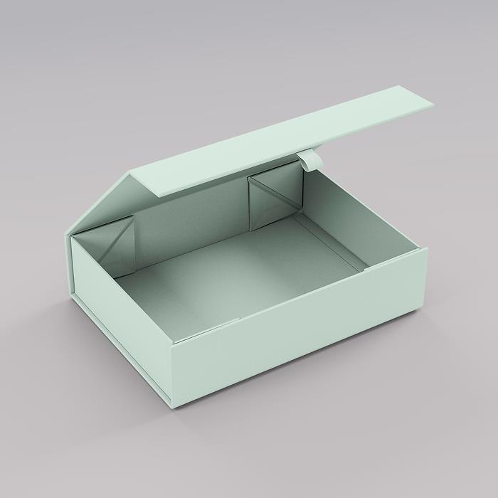 Semikolon 4Rooms Box, Medium, Moss