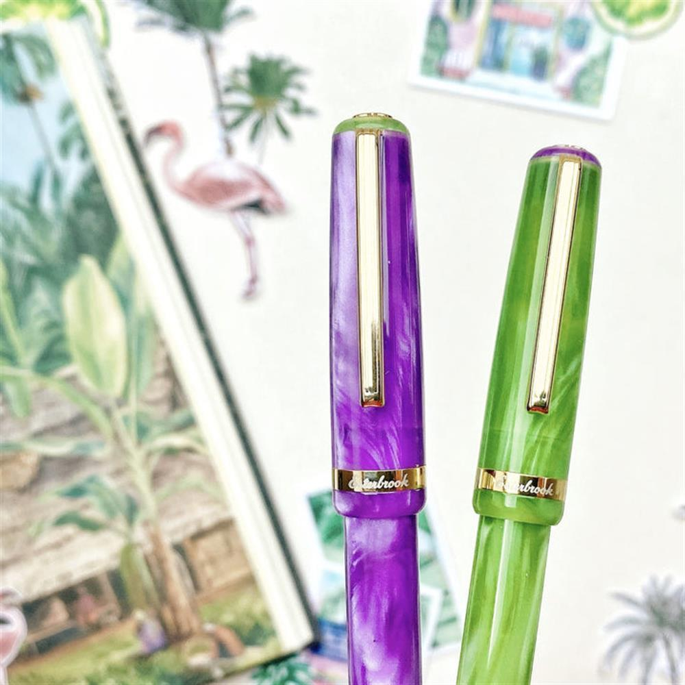 Esterbrook JR Paradise Collection Dolma Kalem Purple Passion Fine