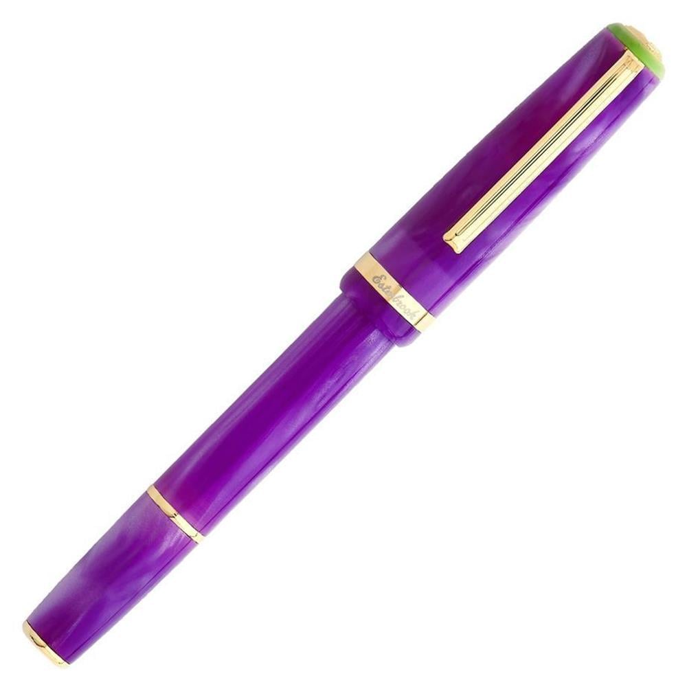 Esterbrook JR Paradise Collection Dolma Kalem Purple Passion Fine