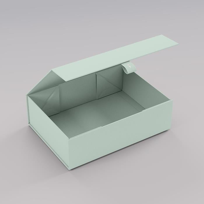 Semikolon 4Rooms Box, Small, Moss