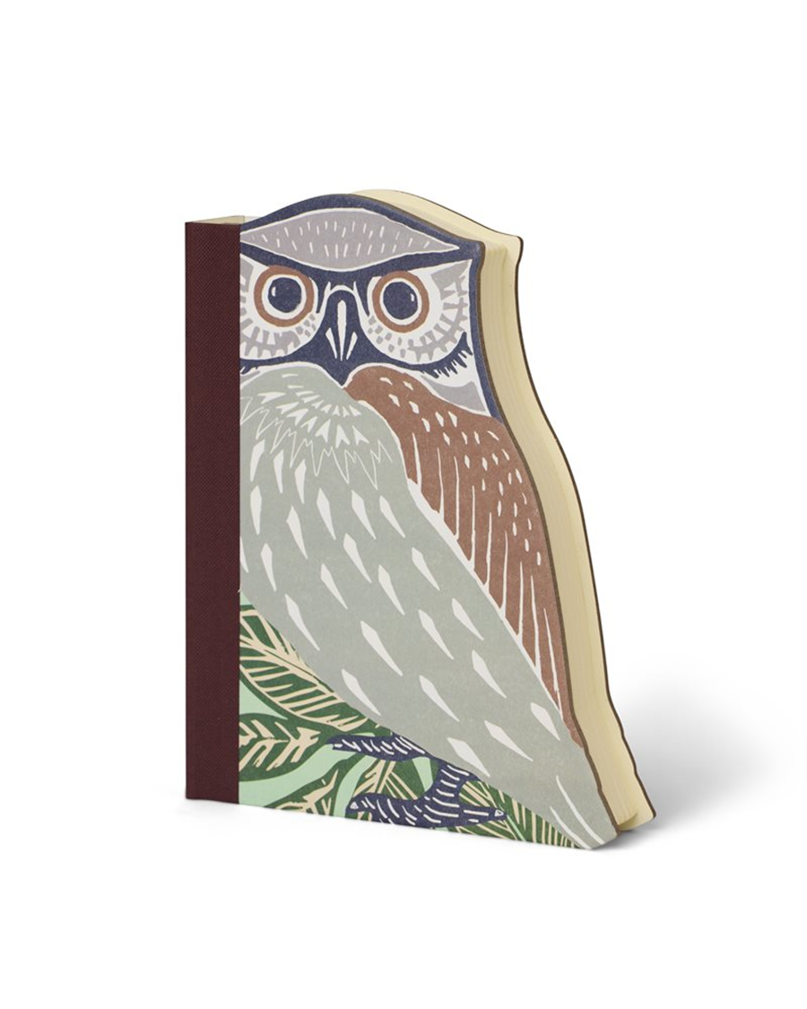 IF Eclectionery Notable Books Owl Notluk 38612