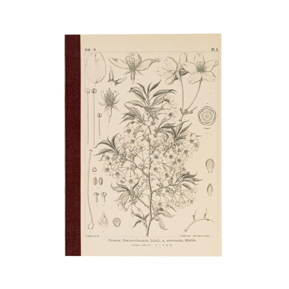 Hobonichi Kareli Defter - A6, Tomitaro Makino: Yamazakura