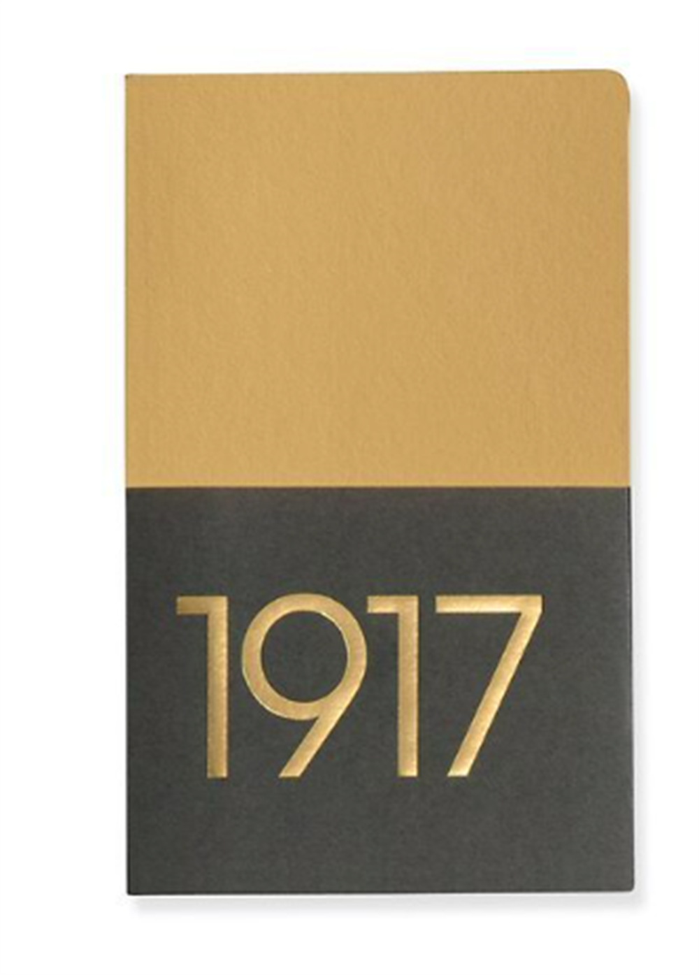Leuchttrum 1917 Jottbook Metallic Edition Çizgisiz 2'li Defter Seti  A6 Gold