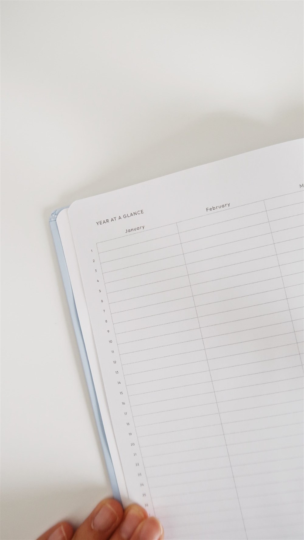 Light Blue Basic Planner Seti