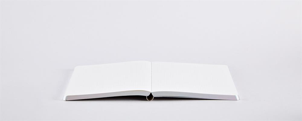 Nuuna Fluid Chrome S Noktalı Defter