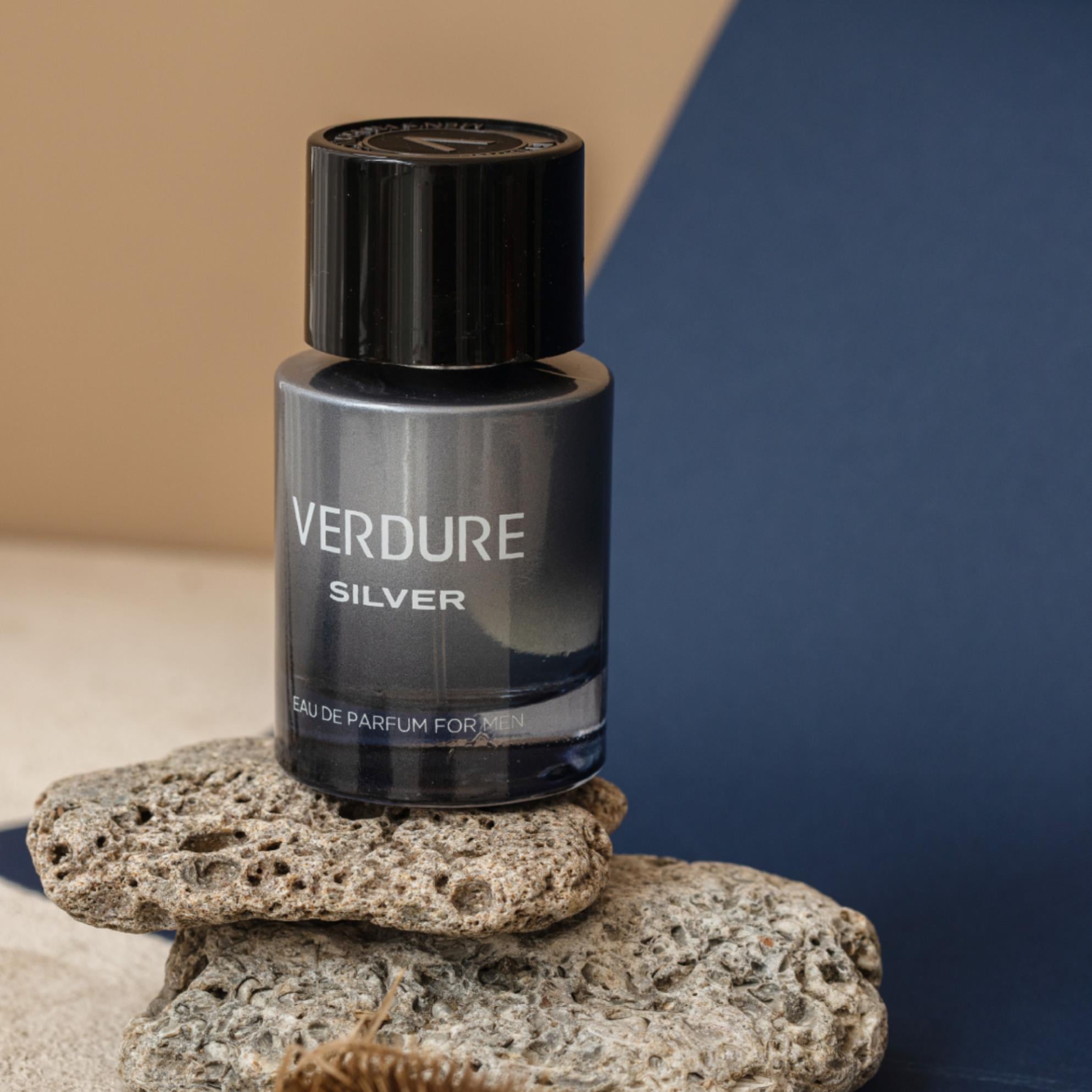 Verdure Silver Erkek Parfüm 100 ml