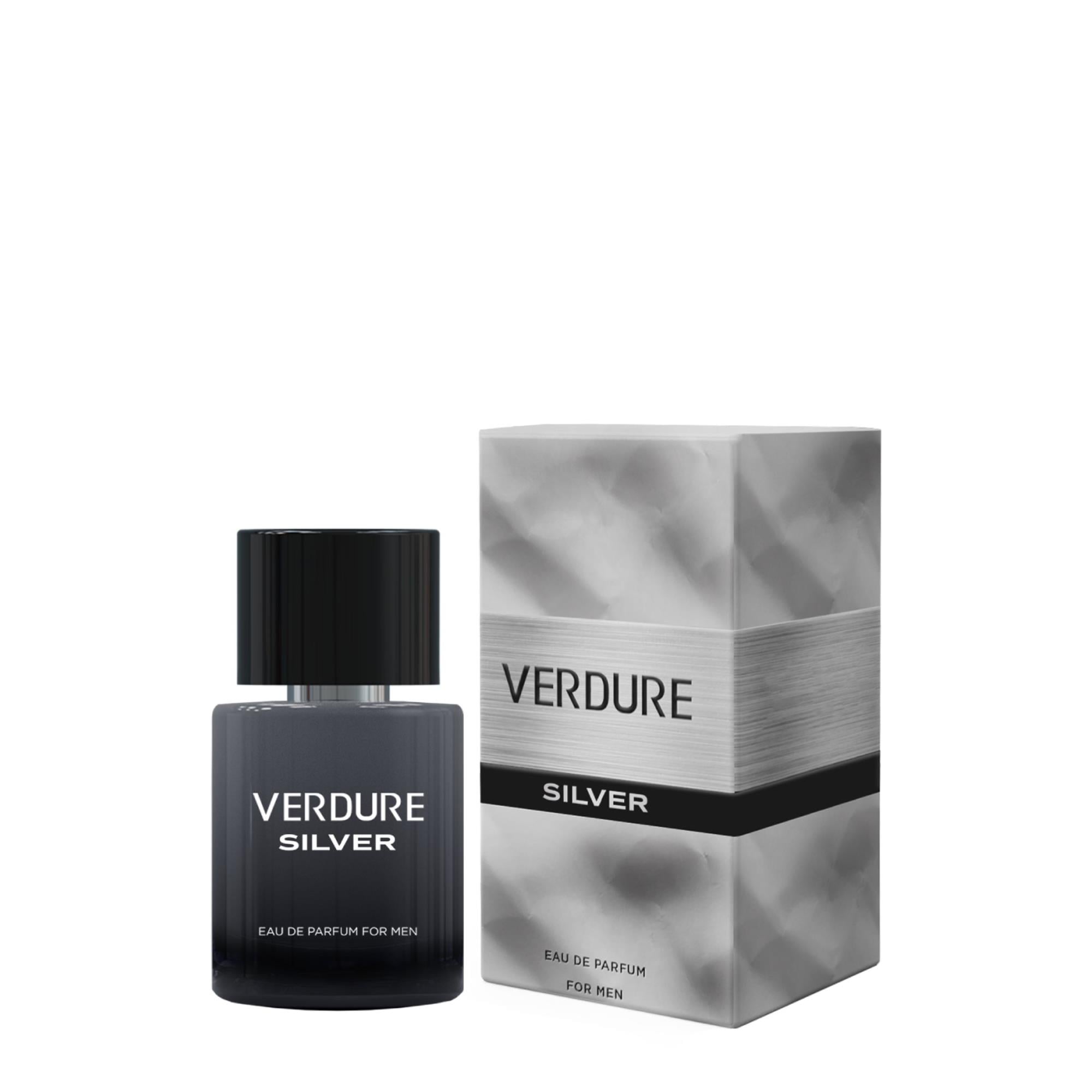 Verdure Silver Erkek Parfüm 100 ml