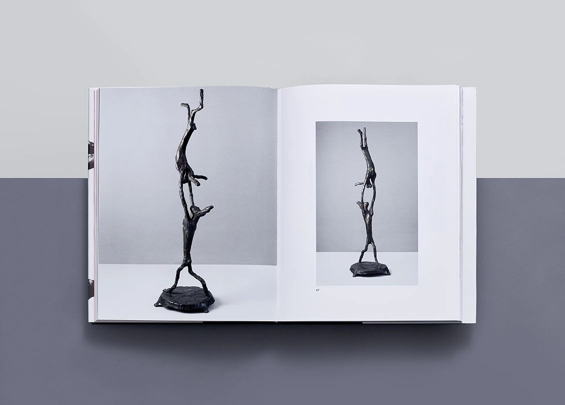Barry Flanagan Kitap