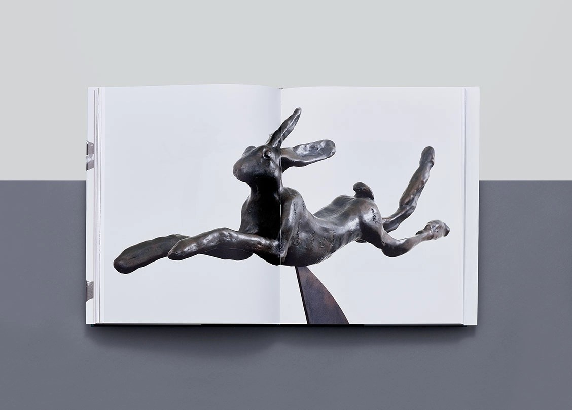 Barry Flanagan Kitap