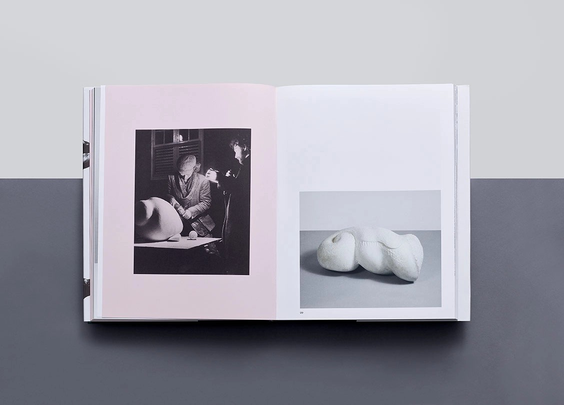 Barry Flanagan Kitap