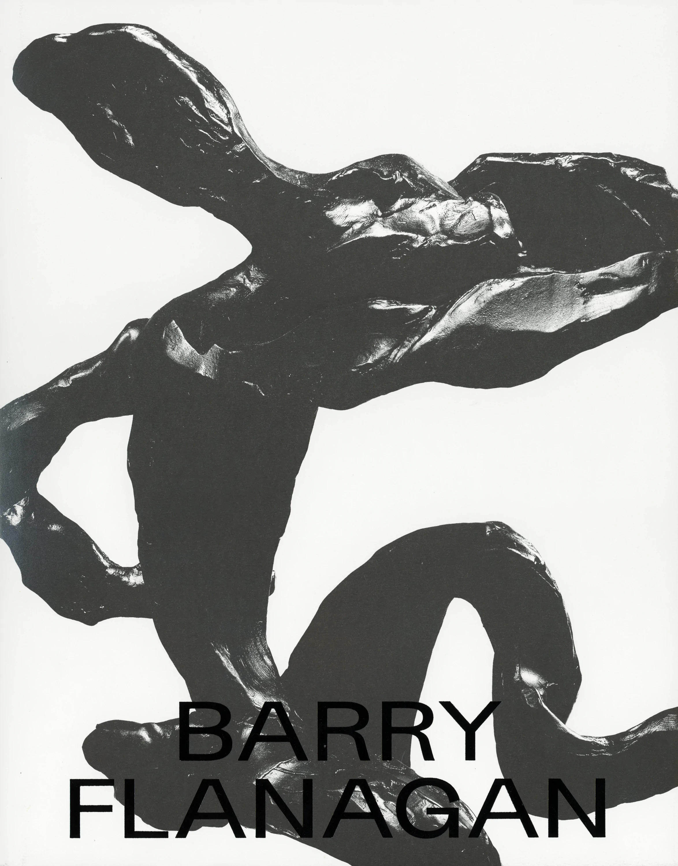 Barry Flanagan Kitap