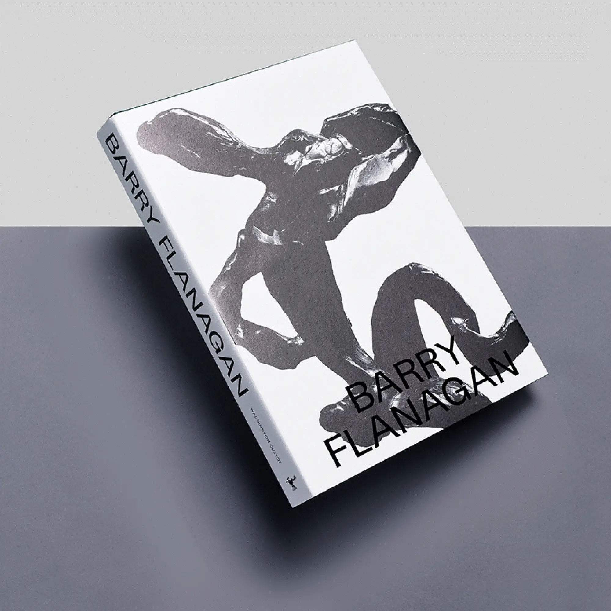 Barry Flanagan Kitap
