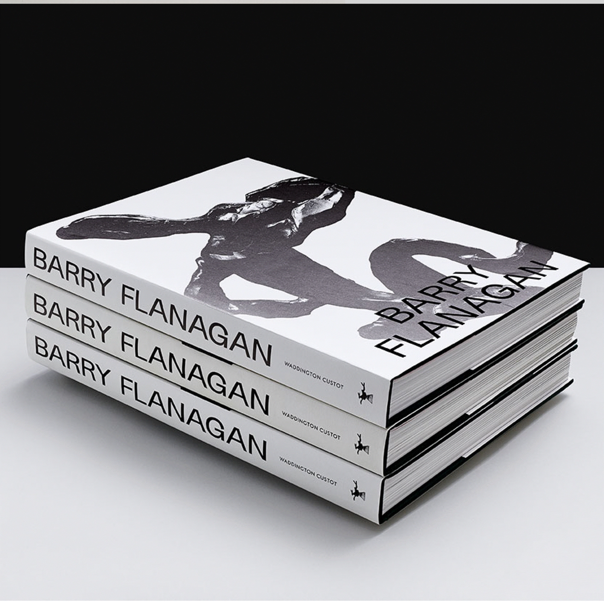 Barry Flanagan Kitap