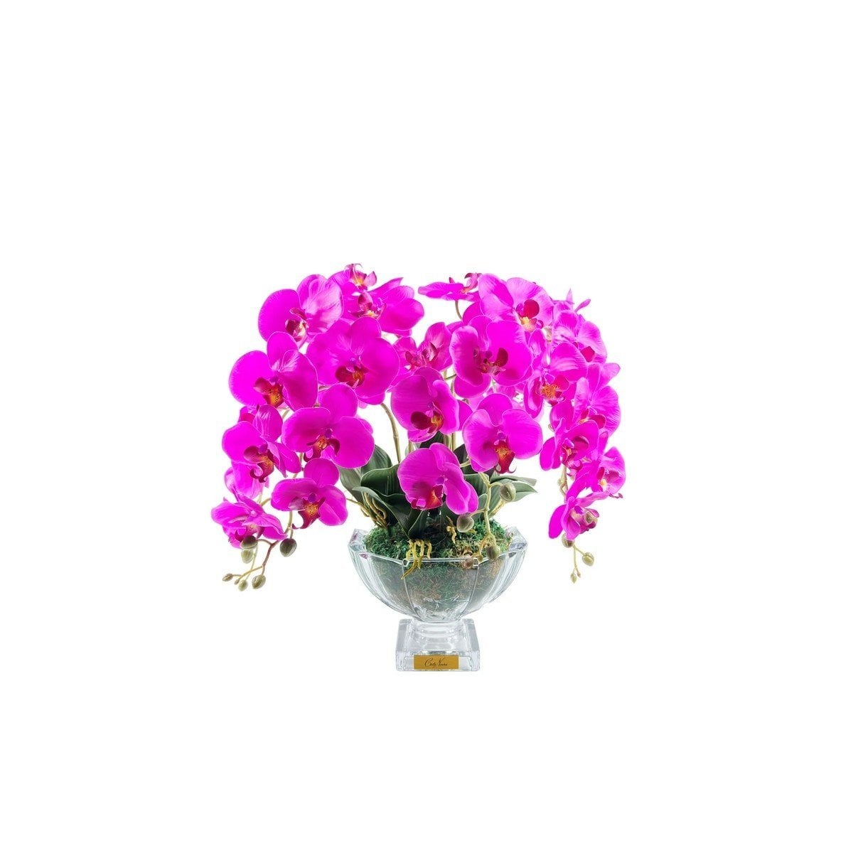 Cote Noire Luxury Centerpiece Mor Orkide Koku