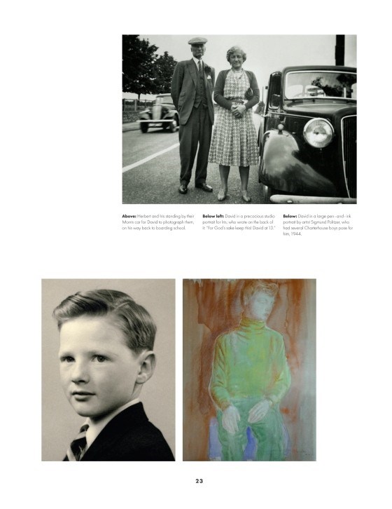 David Hicks - A Life Of Design Kitap