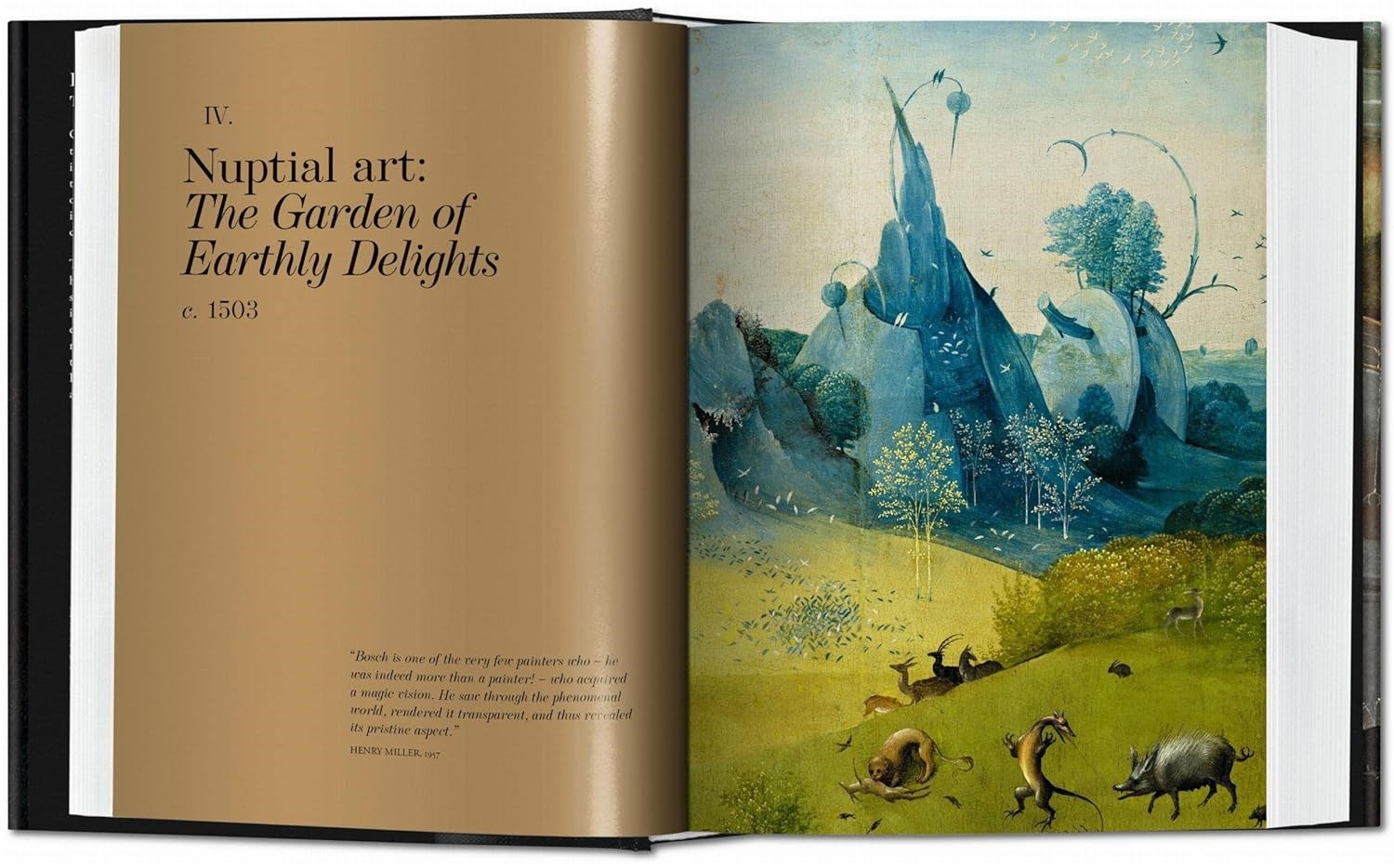 Hieronymus Bosch - The Complete Works Kitap