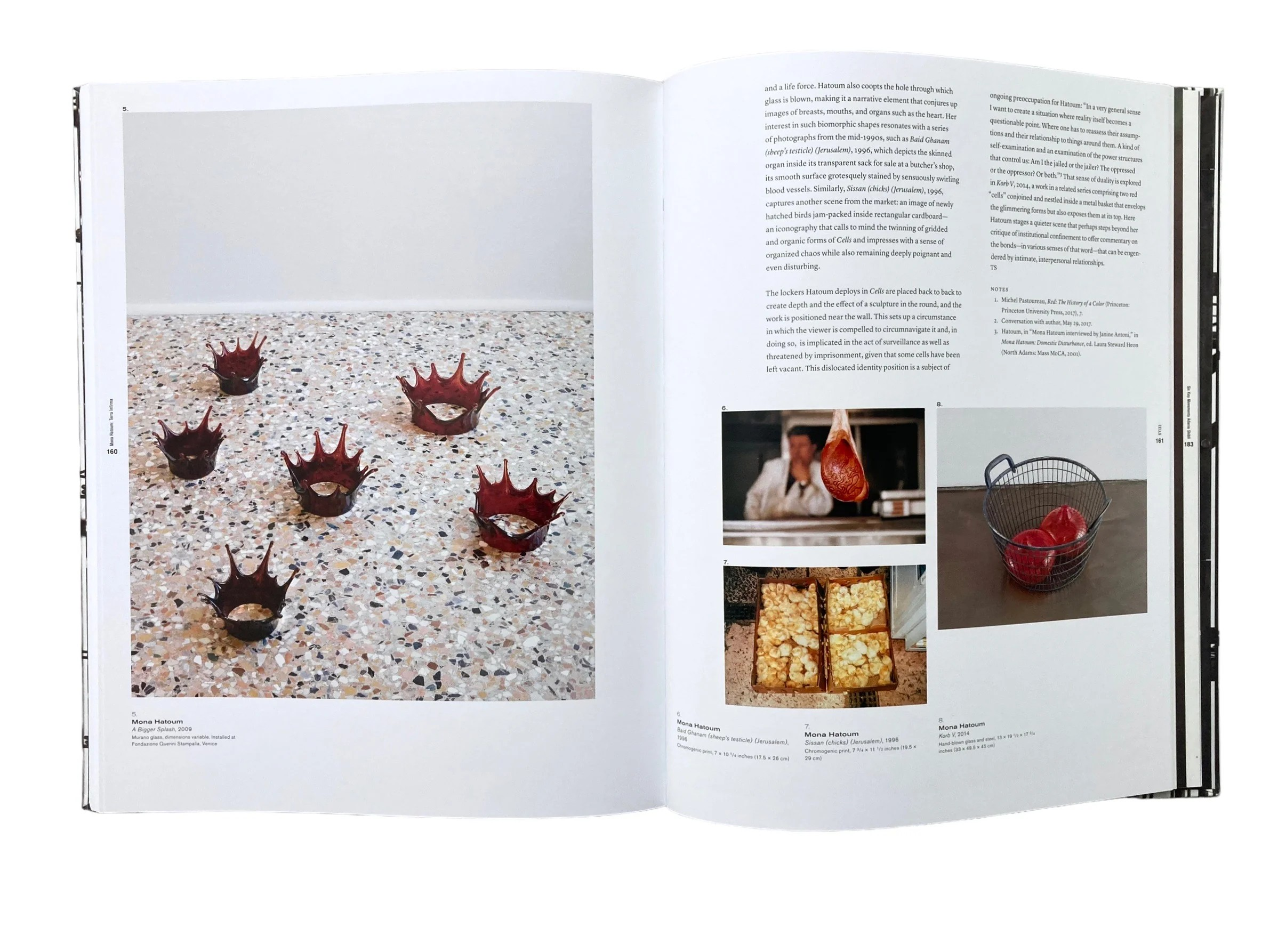 Mona Hatoum: Terra Infirma Kitap