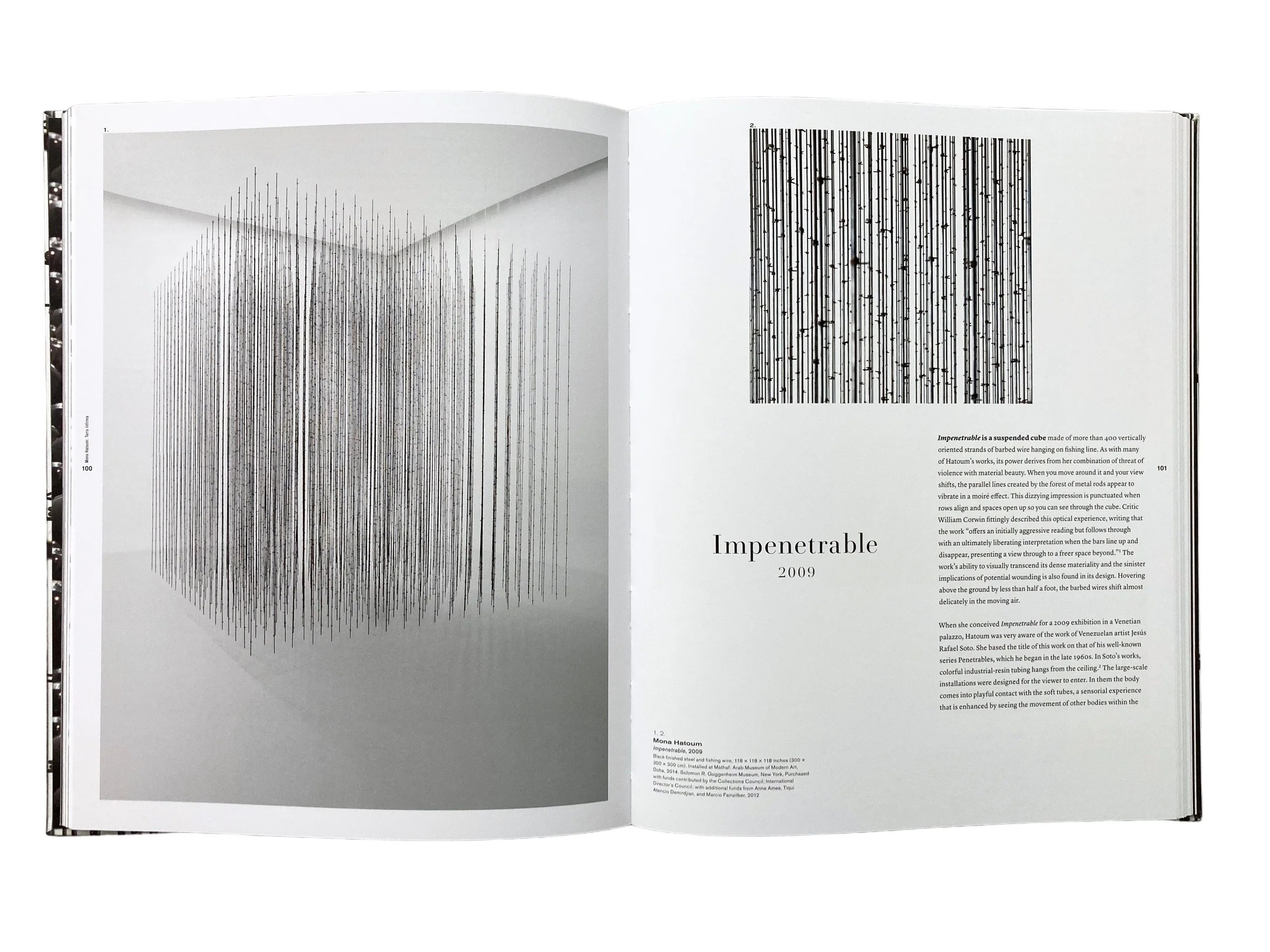 Mona Hatoum: Terra Infirma Kitap