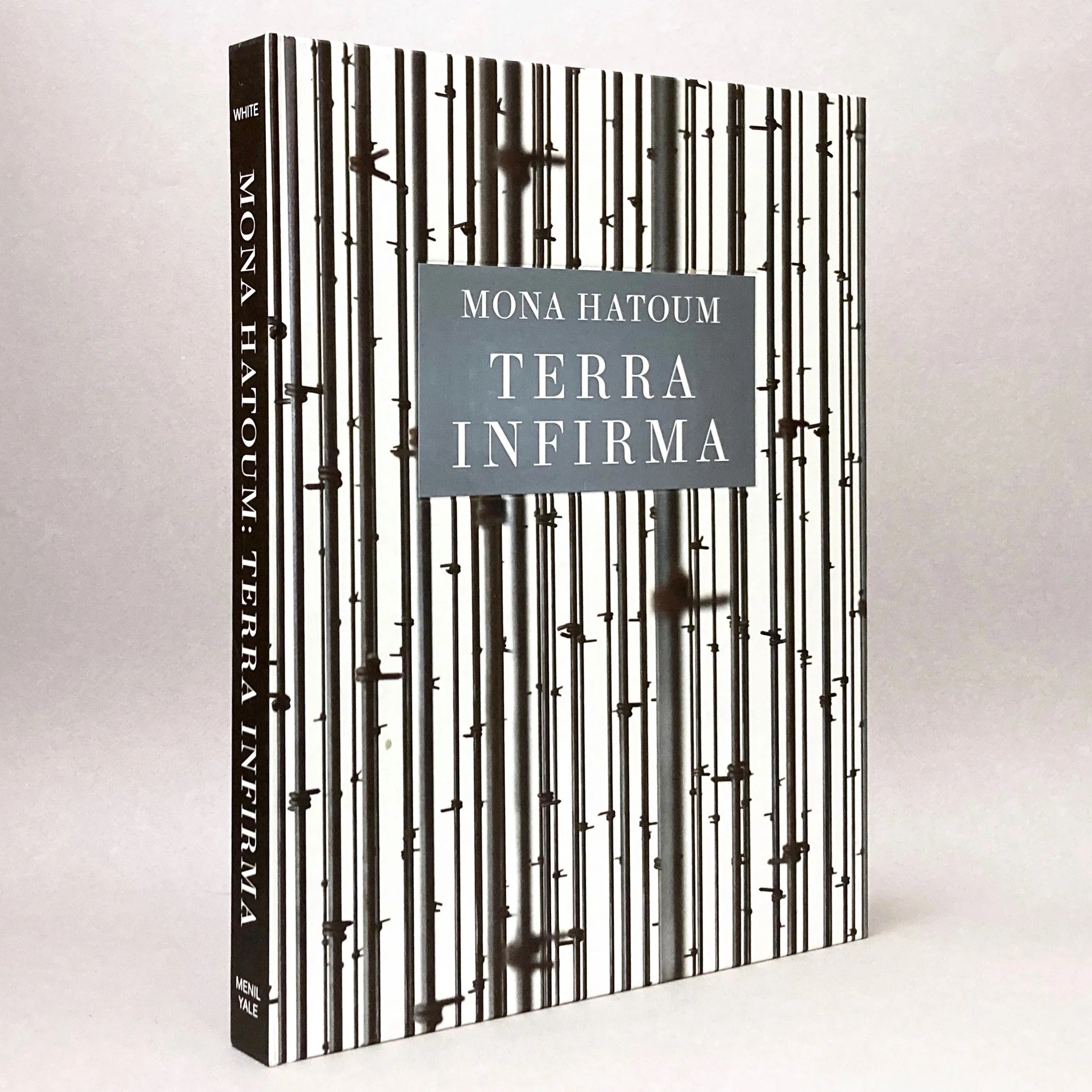 Mona Hatoum: Terra Infirma Kitap