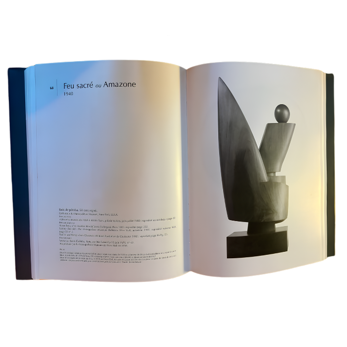 Paul Mas - Chauvin Sculpteur Kitap