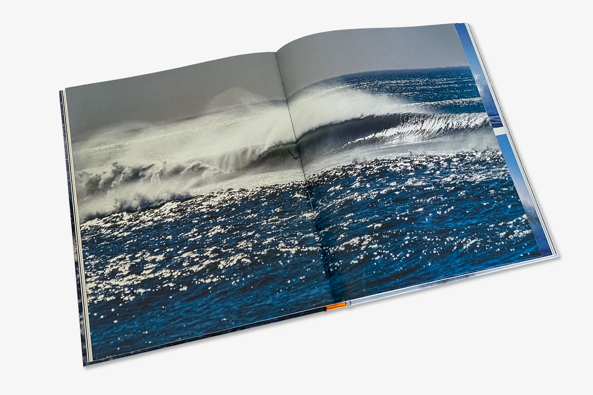 Shaping Surf History - Tom Curren and Al Merrick Kitap