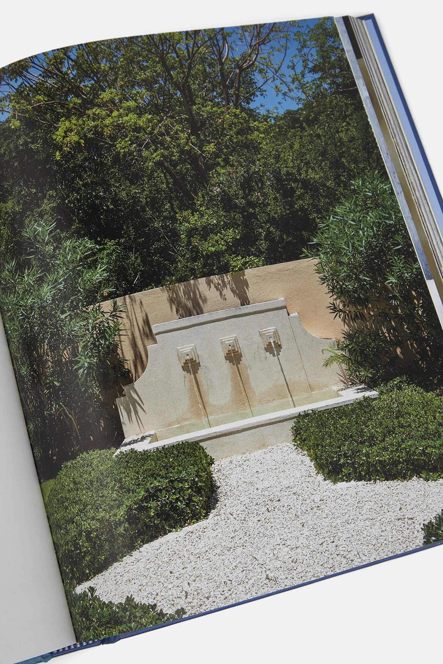 Tropical Living - Dream Houses in Punta Cana Kitap