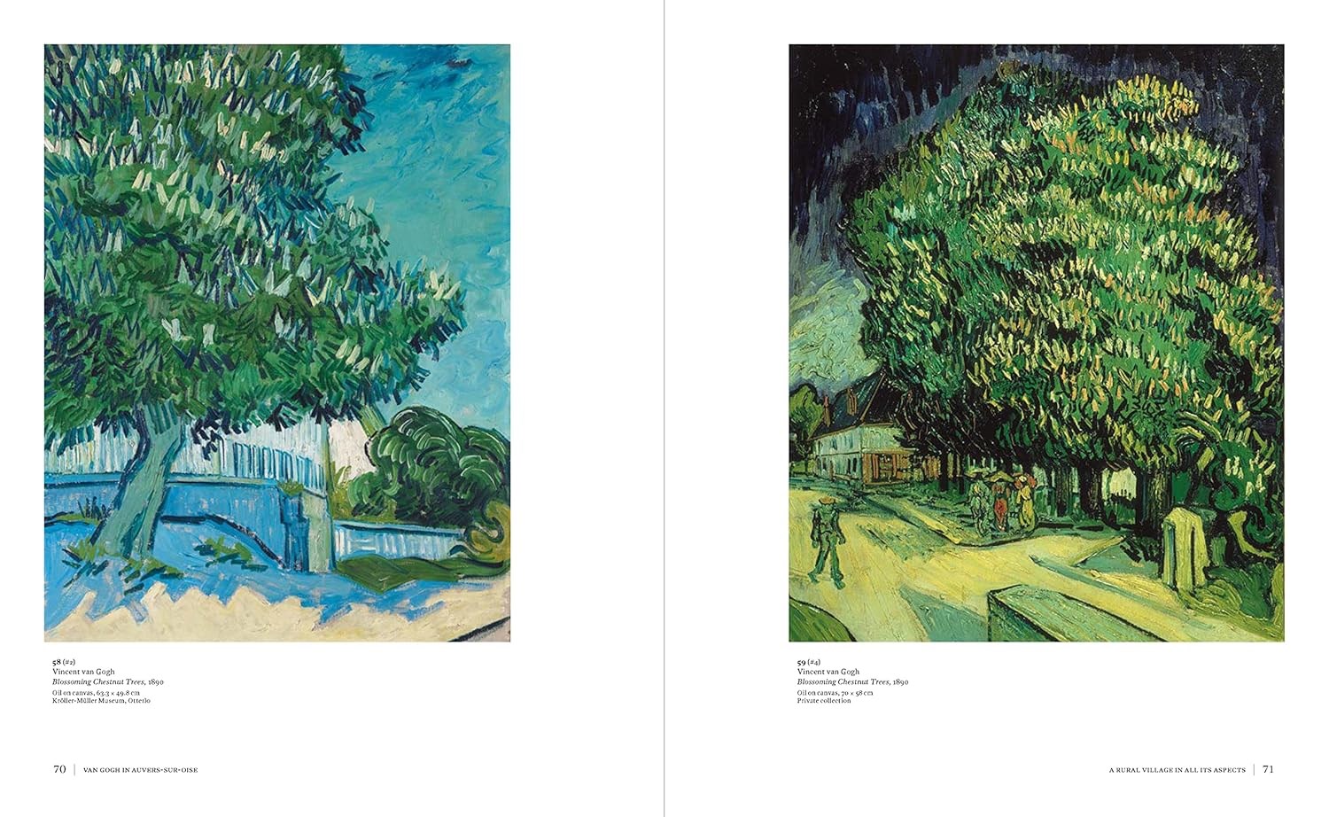 Van Gogh in Auvers-sur-Oise -  His Final Months Kitap