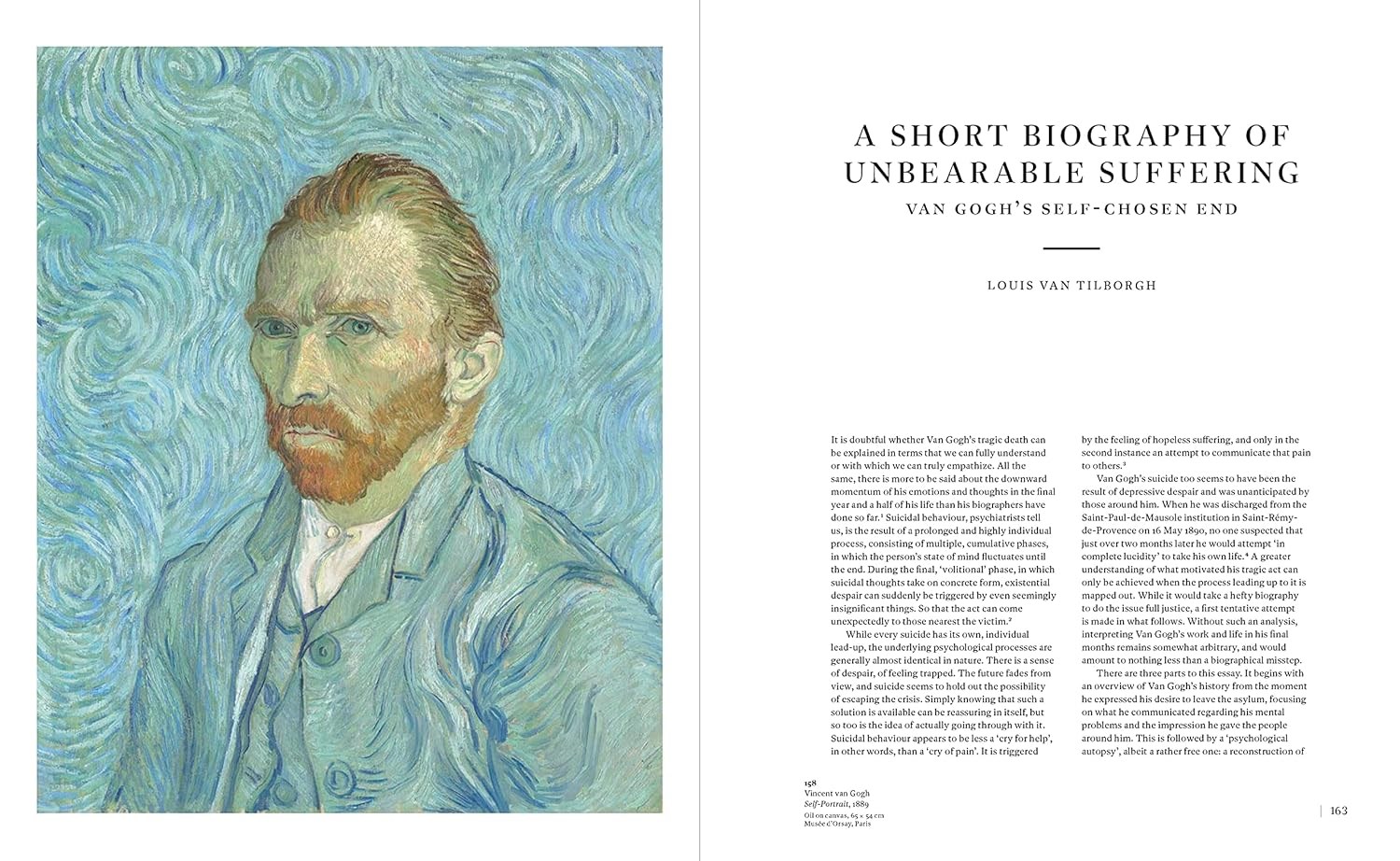 Van Gogh in Auvers-sur-Oise -  His Final Months Kitap