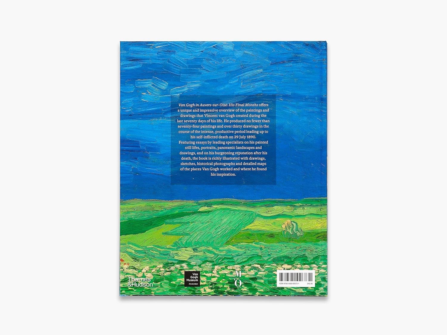 Van Gogh in Auvers-sur-Oise -  His Final Months Kitap