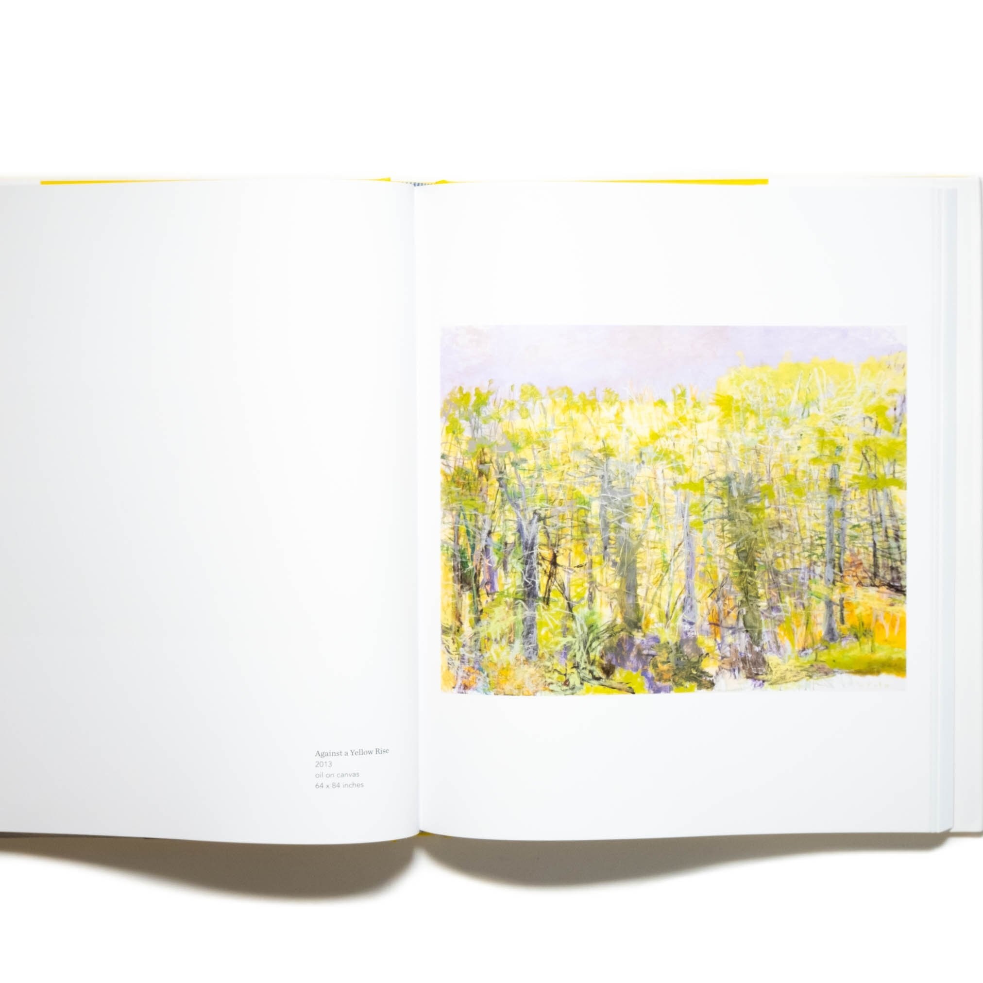 Wolf Kahn - Paintings and Pastels Kitap