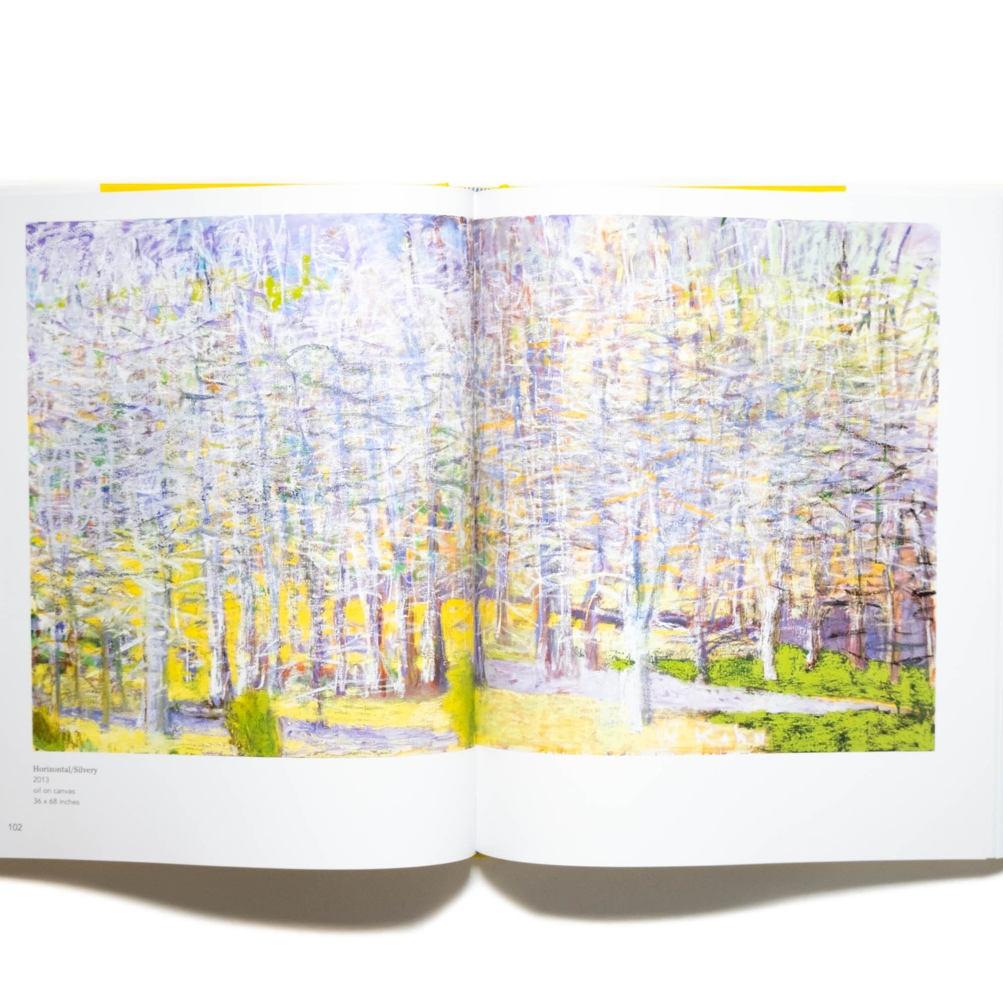Wolf Kahn - Paintings and Pastels Kitap