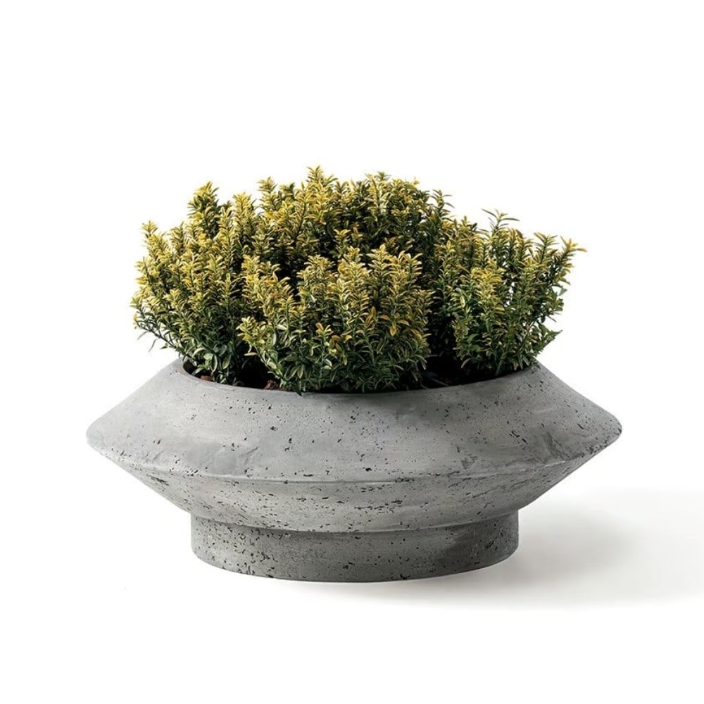Bulbi Crocus-Grigio Carbone
