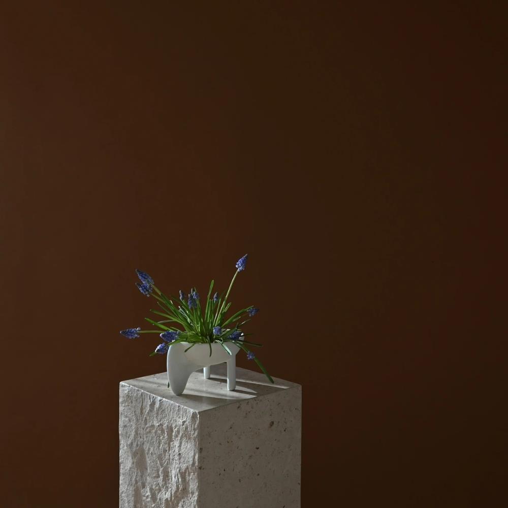 Wing Kase - Mini - Bone White