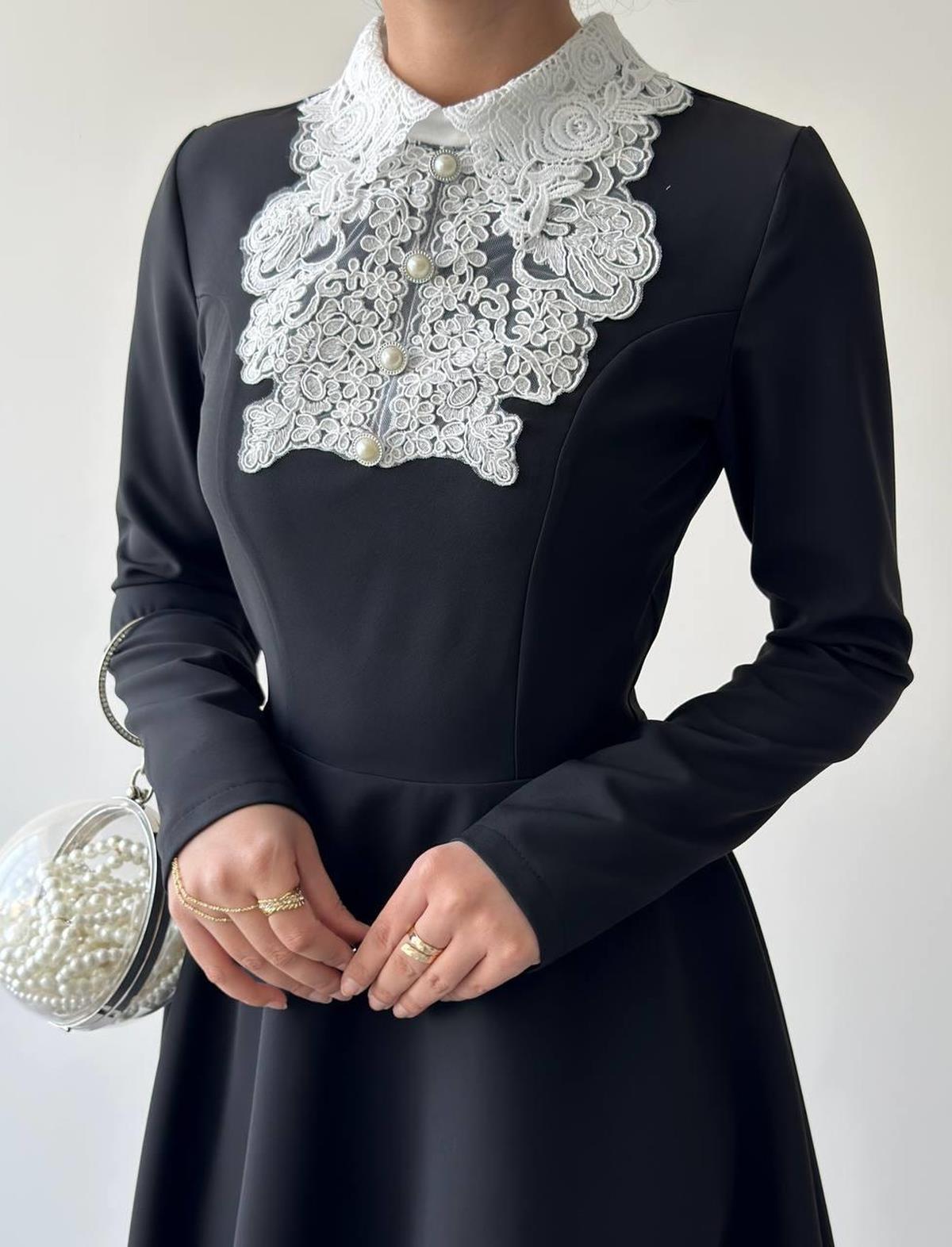 Leye Lace Detailed Dress