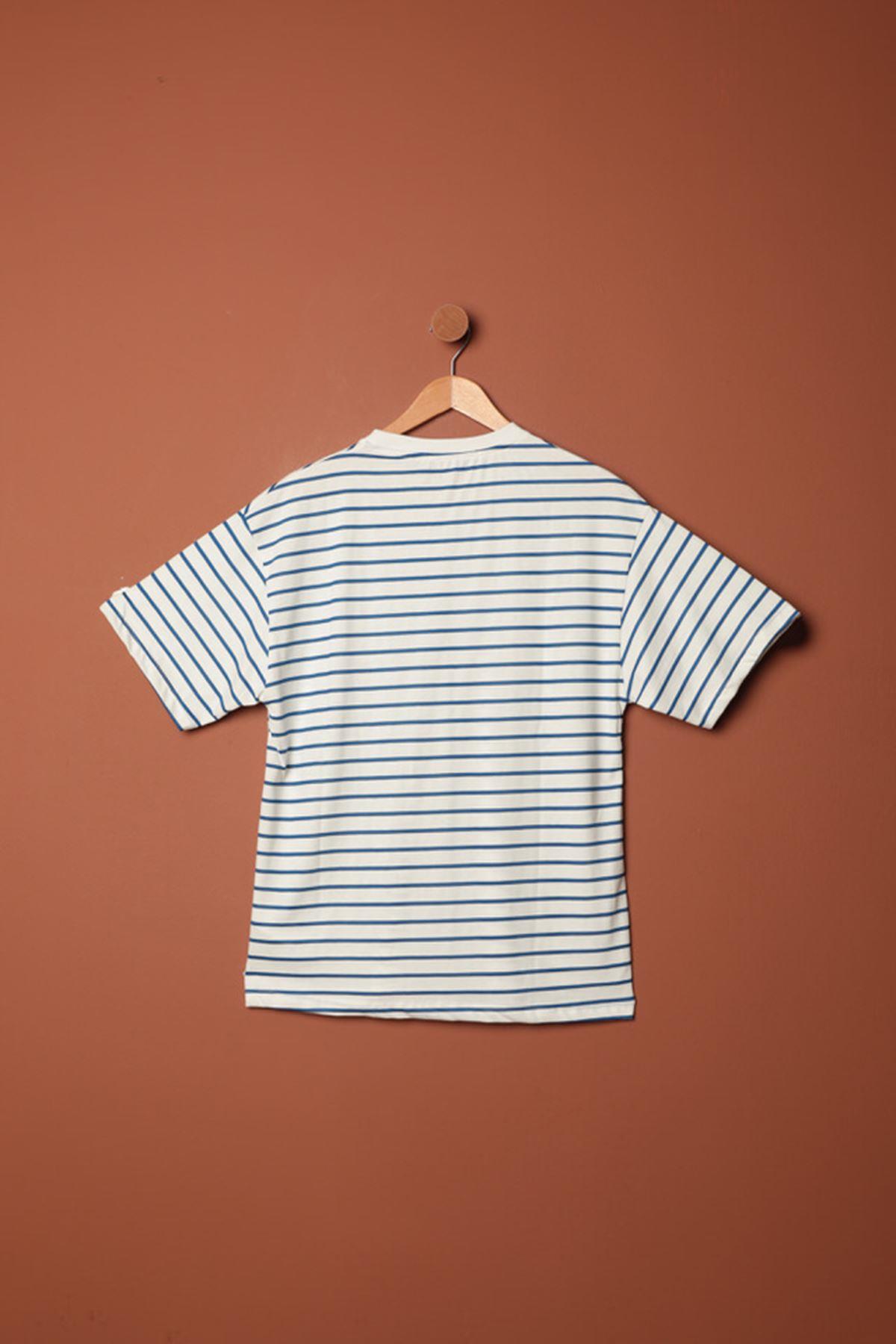 Striped Crew Neck T-Shirt-Blue