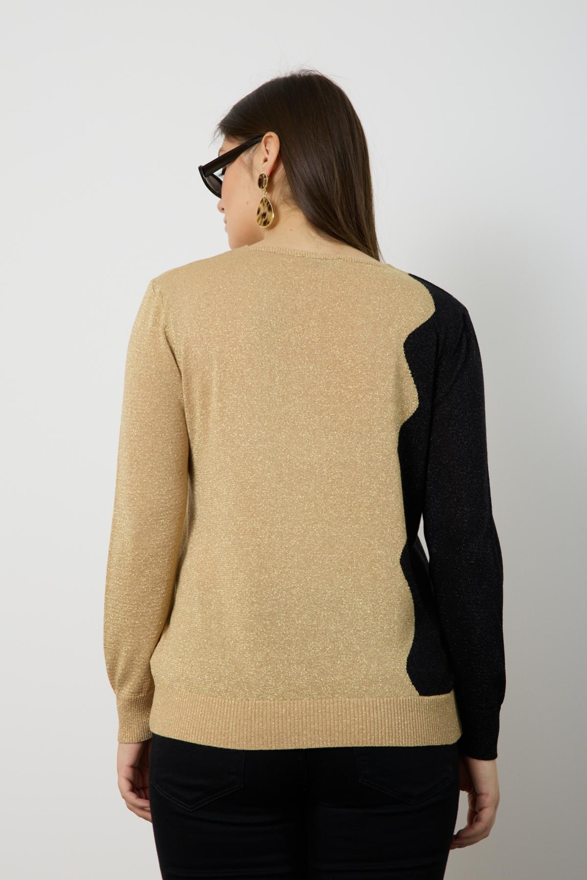 Wholesale Women Beige Two Tone Glittery V-Neck Knit Blouse 724832