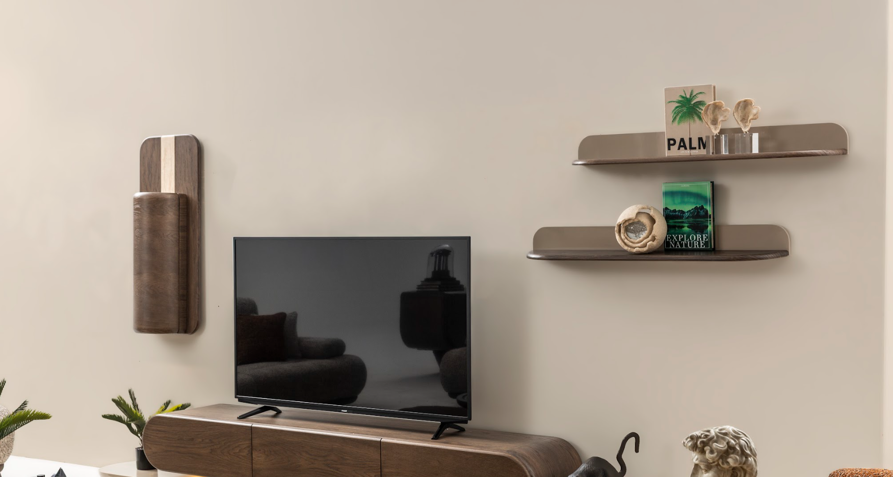 FLY TV ÜST MODÜL