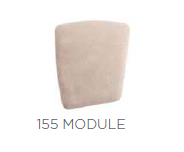 MORPHOSE 155 MODÜL 