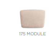 MORPHOSE 175 MODÜL