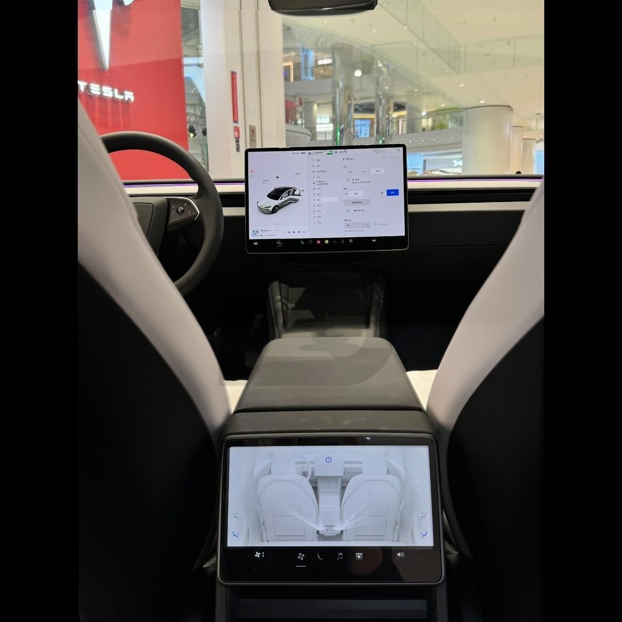 Model Y 2025 Juniper Arka Ekran Koruyucu