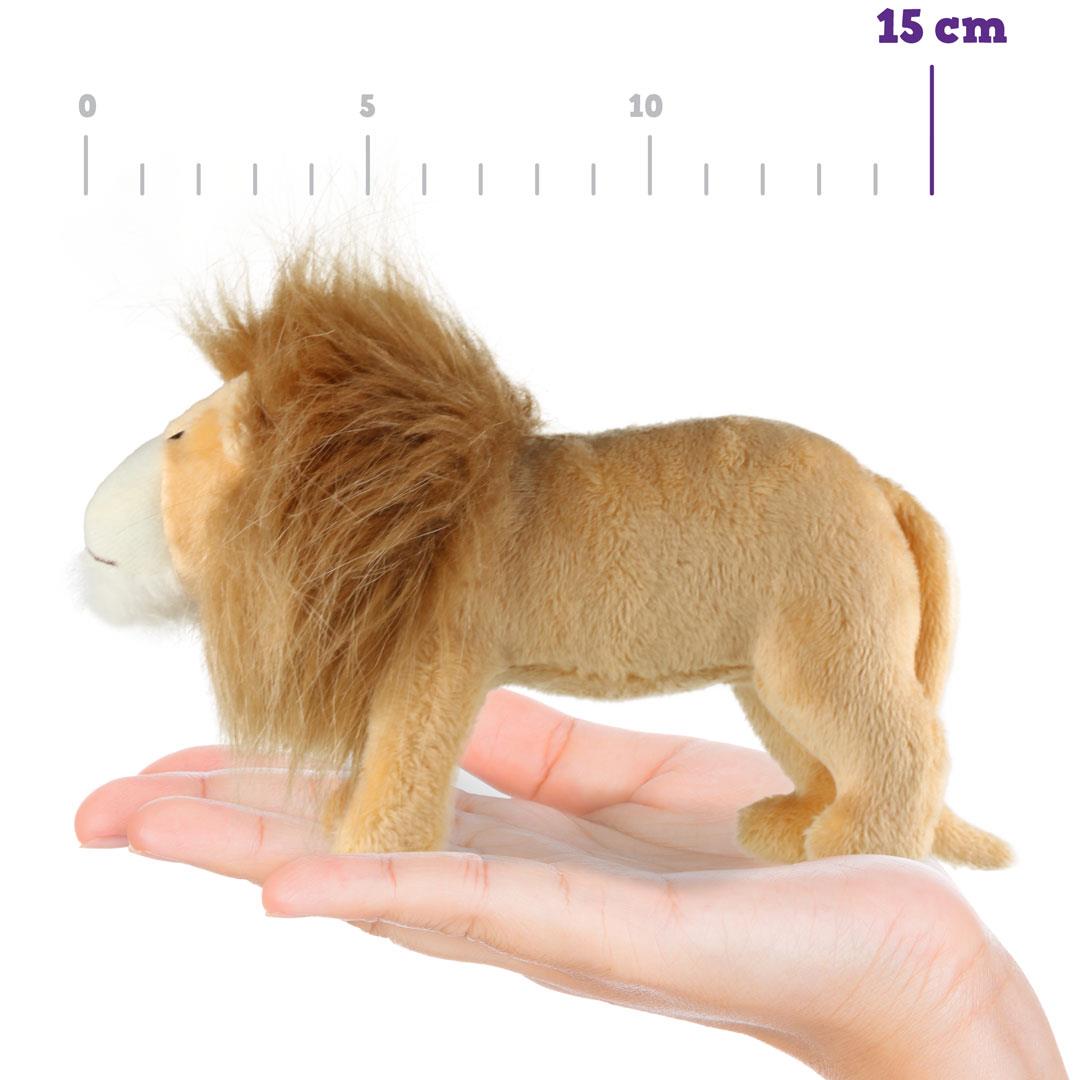 Aslan, Yaban Hayatı, 15 cm