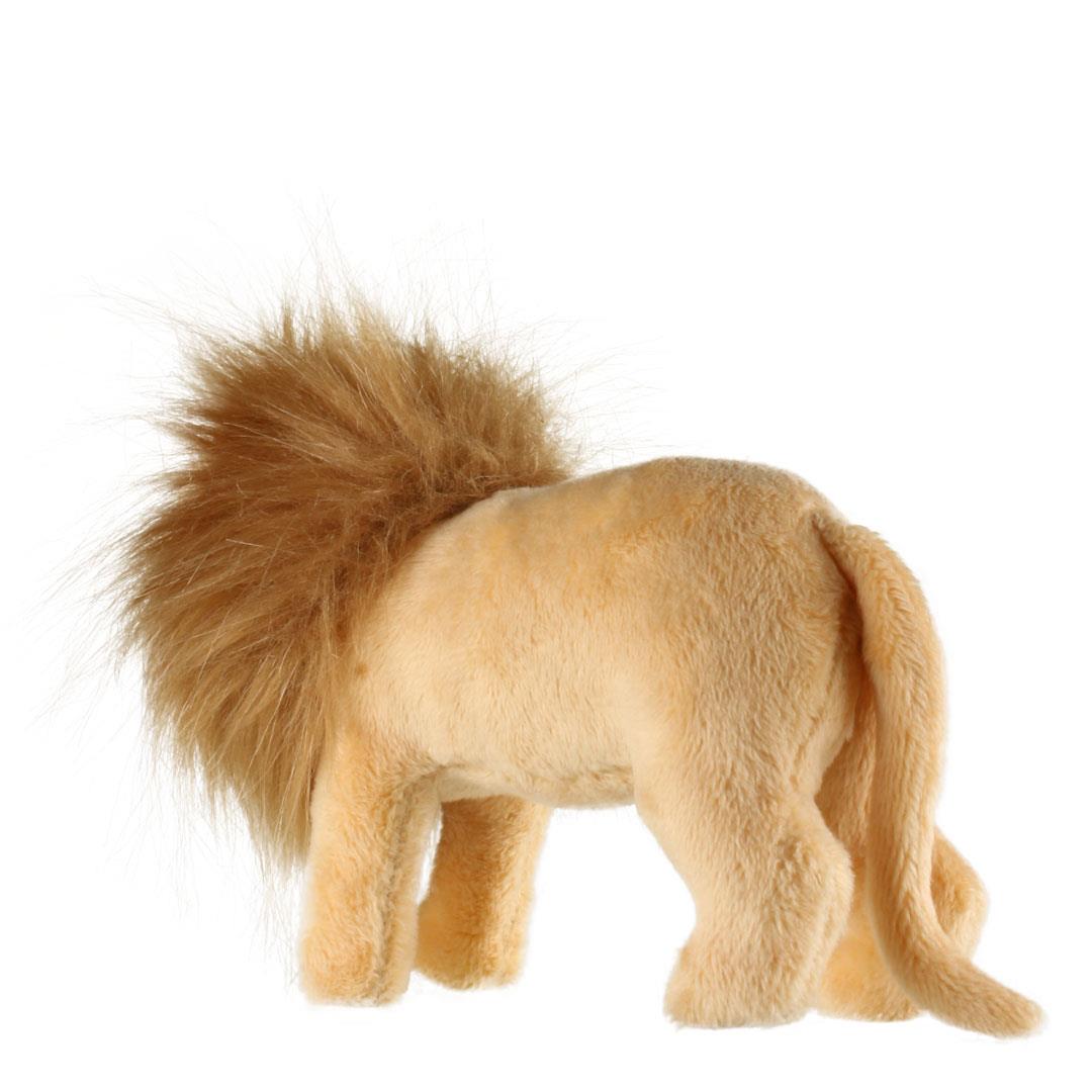 Aslan, Yaban Hayatı