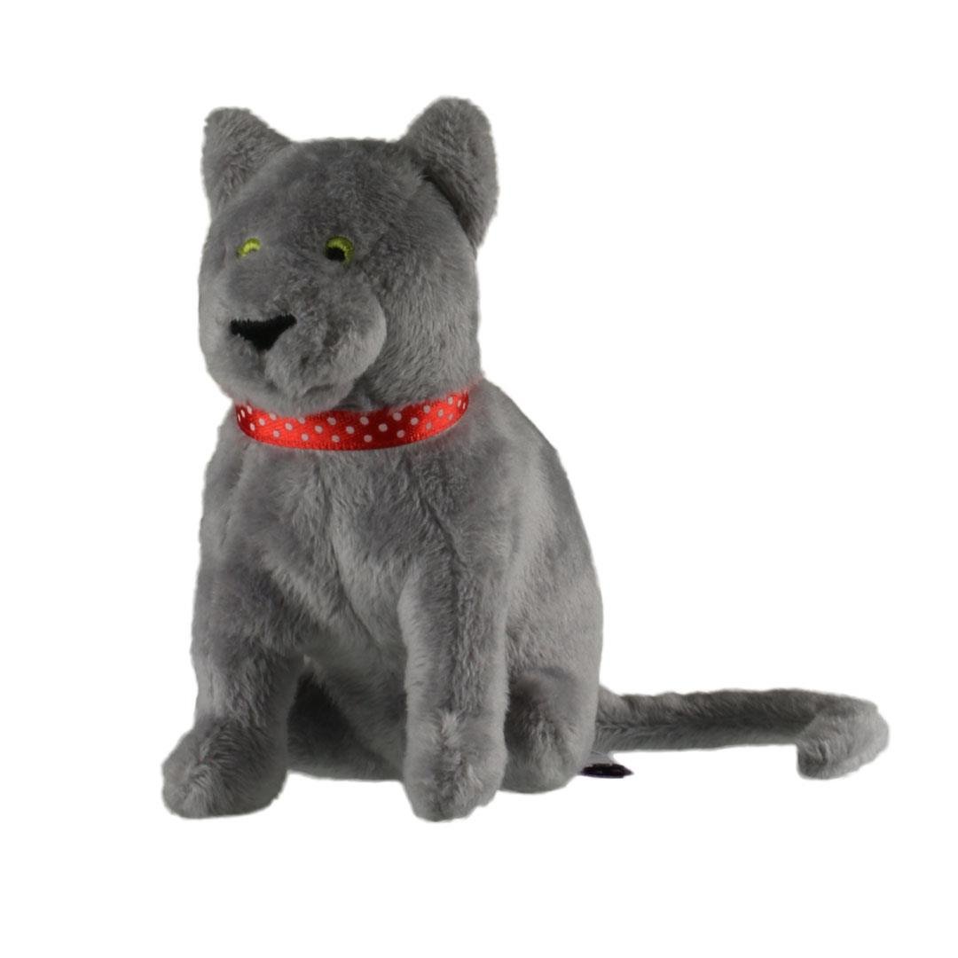 Gri Kedi, Evcil Hayvanlar