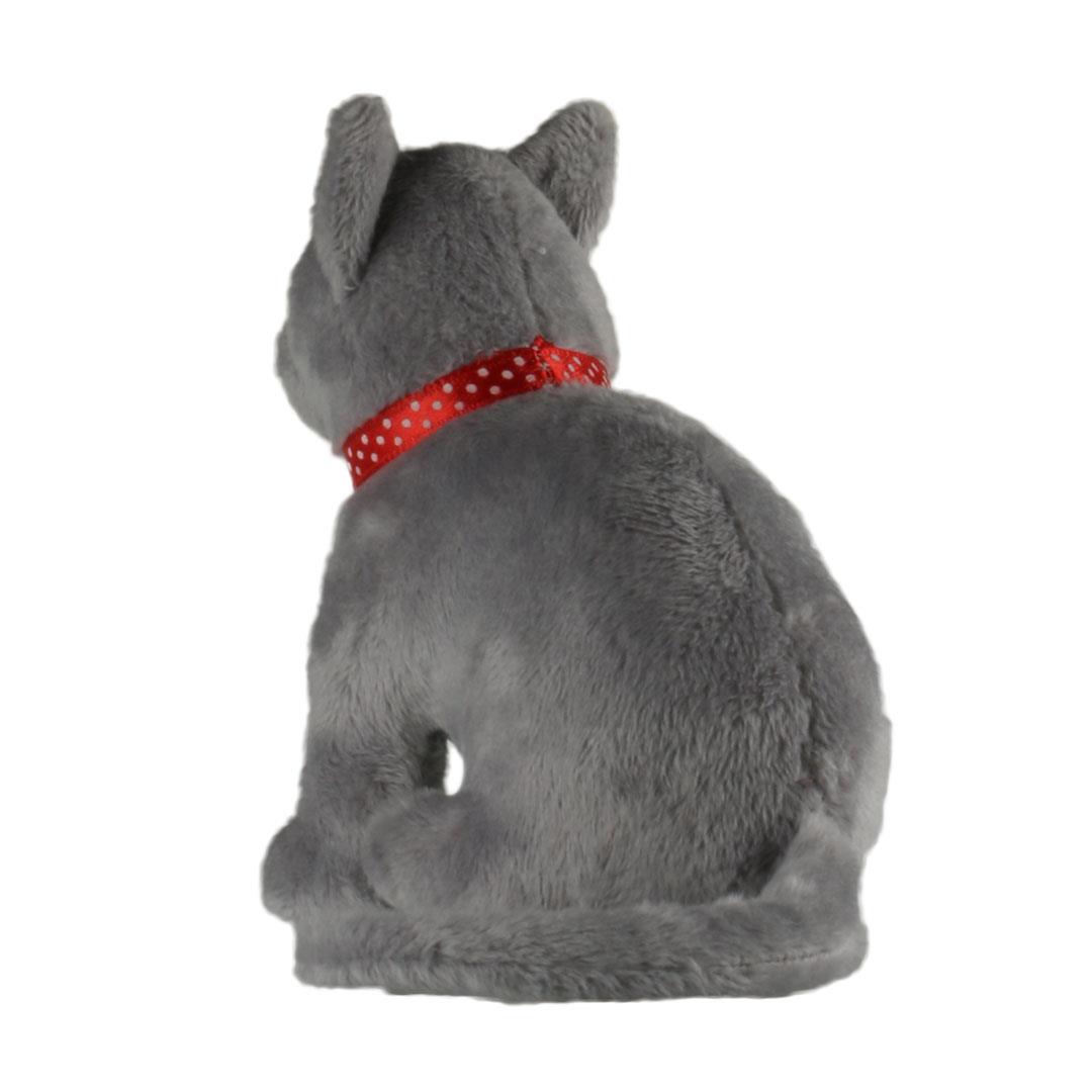 Gri Kedi, Evcil Hayvanlar